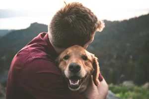 dog trust signals